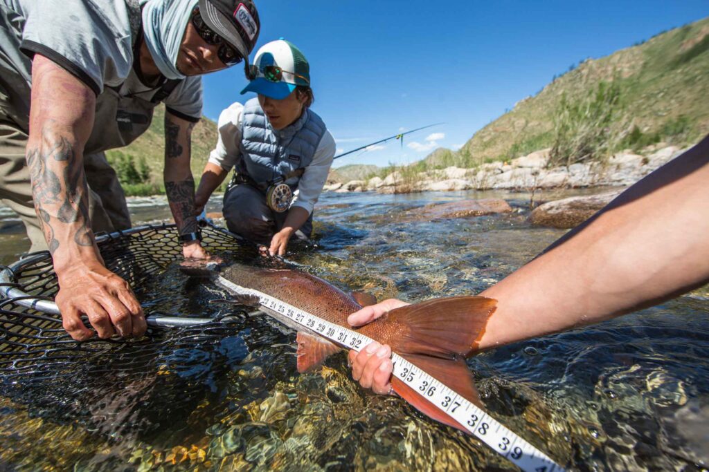 Taimen Conservation in Mongolia
