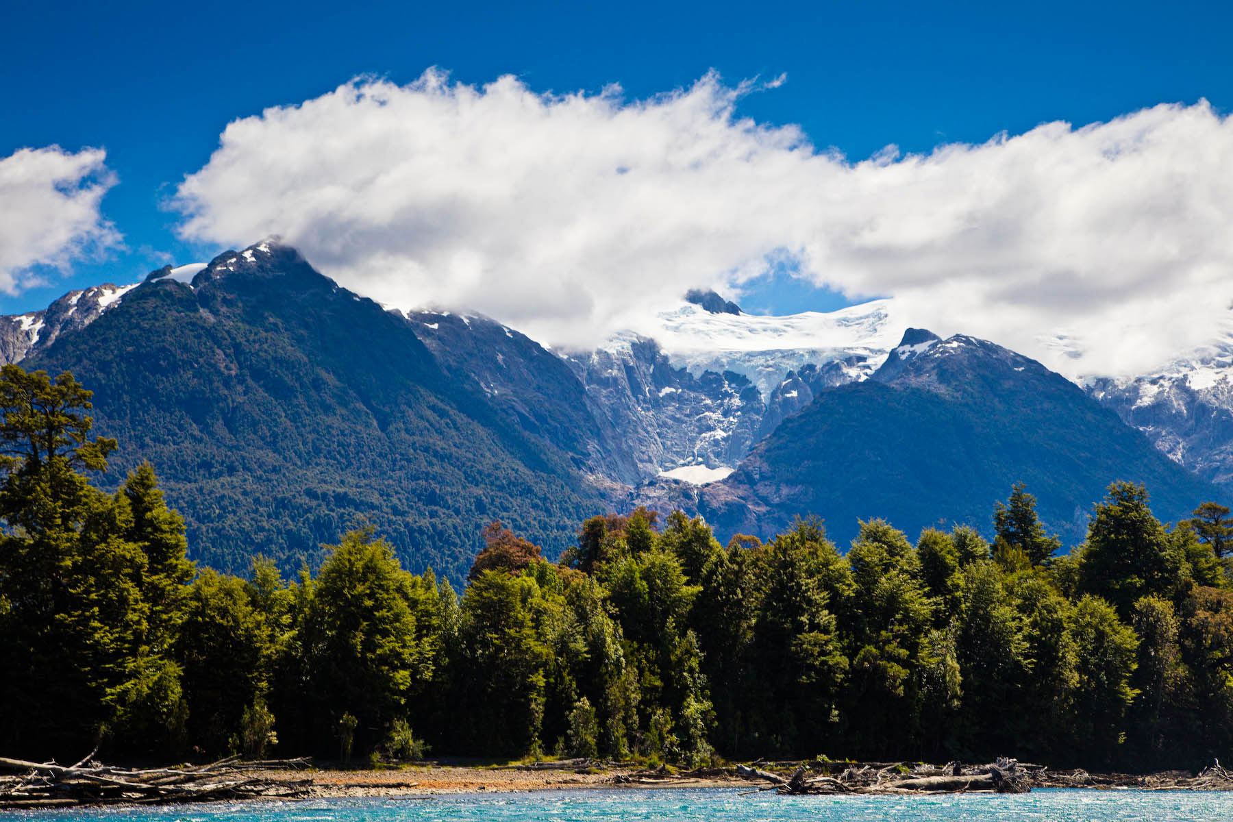Casting Beyond Patagonia