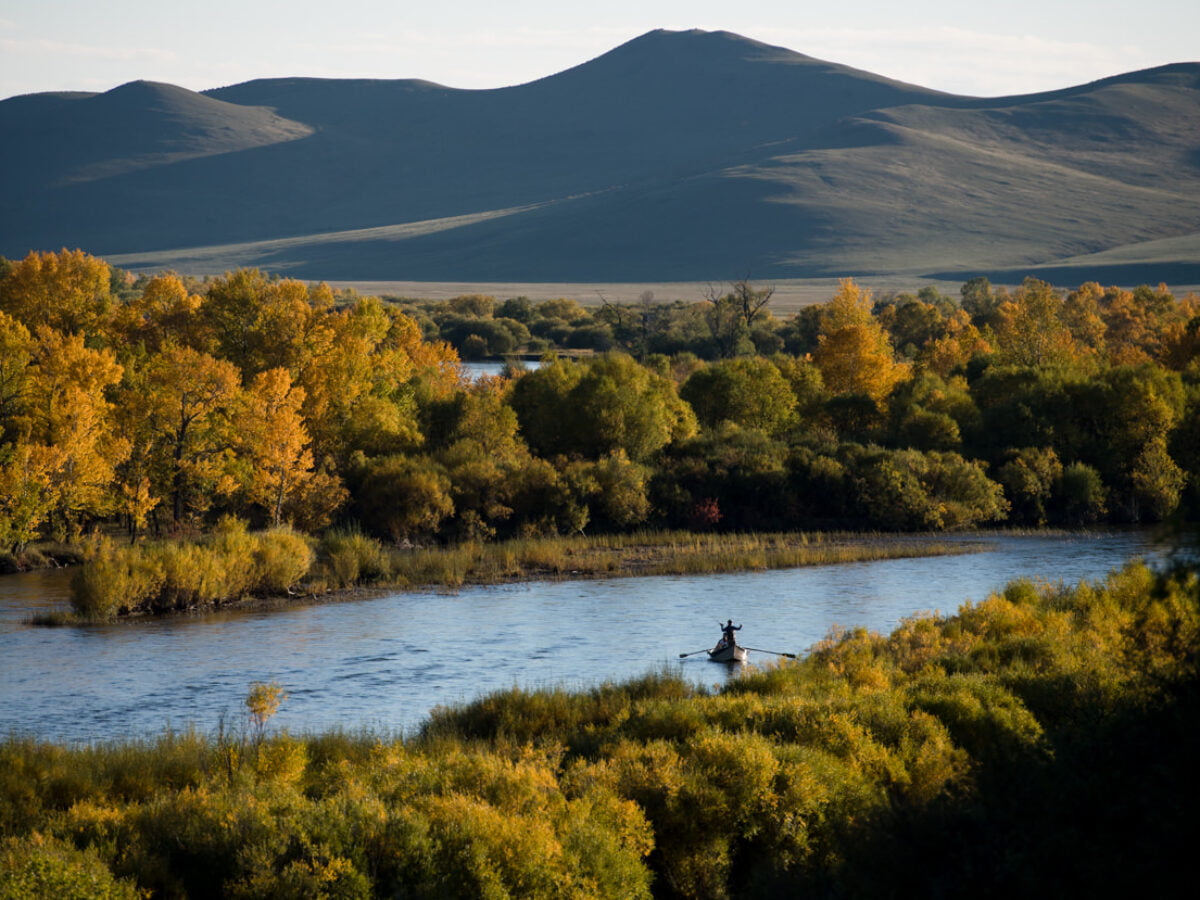 Visit Mongolia River Outfitters to learn about autumn taimen fly fishing trips.