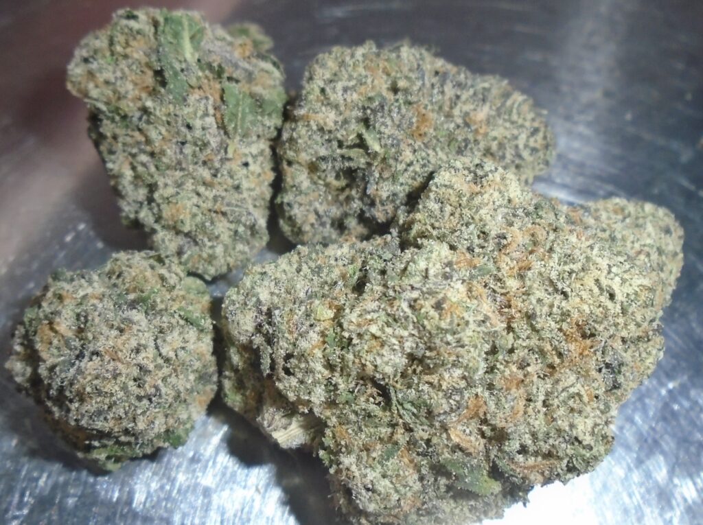 Jealous Runtz Light Dep Cannabis Redding 420 Marijuana Delivery