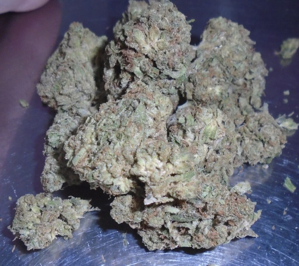 KC's Cookies Indoor Cannabis Redding 420