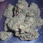 Cookies Gary Payton Indoor Cannabis NEW YEAR SPECIAL