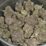 Rainbow Cake Indoor Cannabis Redding 420 Marijuana Delivery