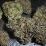 Hot Tamales Indoor Cannabis