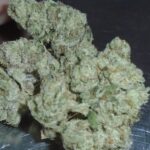 Monkey Breath Indoor Cannabis