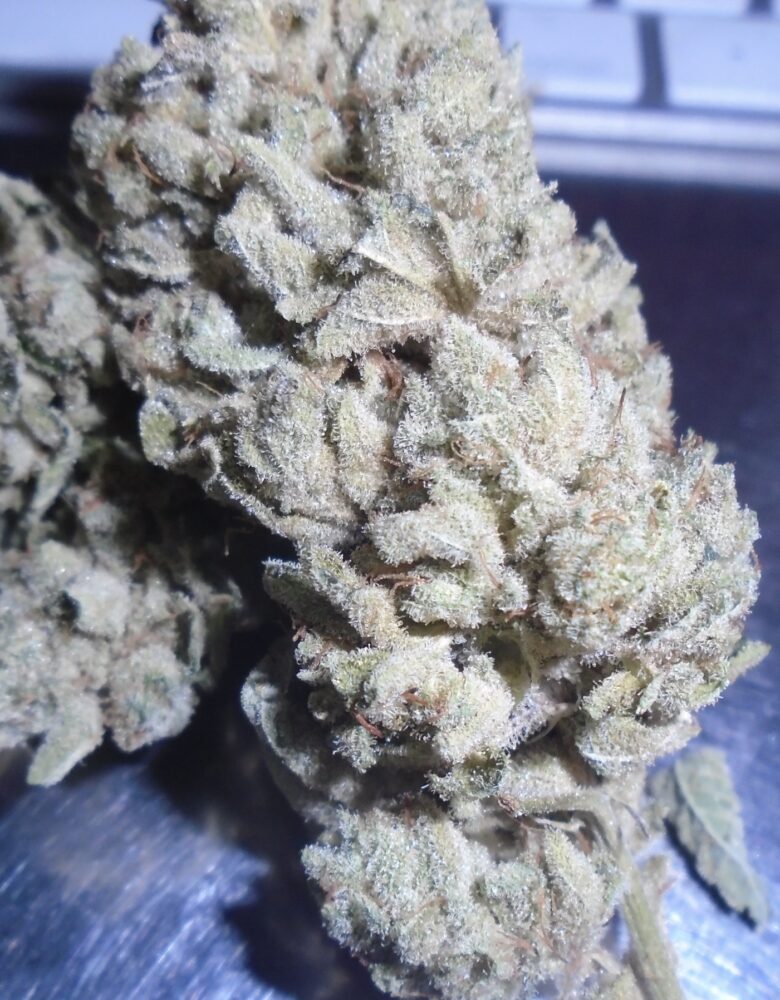 Skywalker indoor cannabis