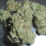 Popscotti Indoor Cannabis Redding 420 Marijuana Delivery Service