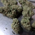 Captain Runtz Indoor Cannabis Special Redding 420 Delivery