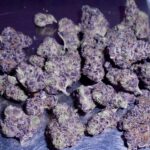 Budder OG Indoor Cannabis Redding 420 marijuana delivery