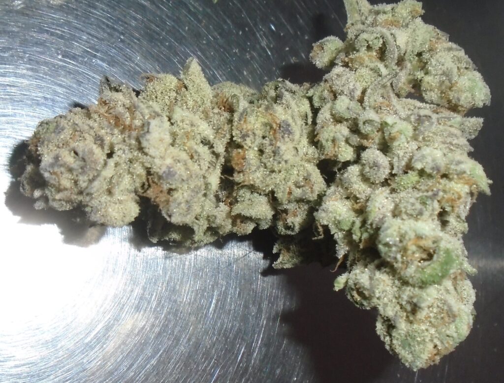 Glenn's Motorhead Indoor Cannabis Redding 420 Delivery Service
