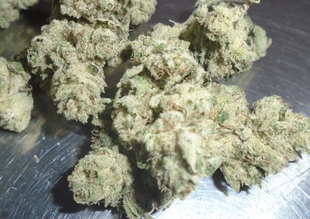 Grease Monkey Indoor Cannabis Redding 420 Marijuana Delivery