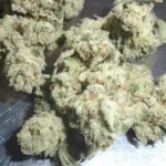 Grease Monkey Indoor Cannabis Redding 420 Marijuana Delivery