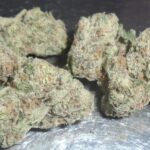 Nicks Polar Pop Indoor Cannabis Redding 420 Marijuana Delivery