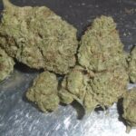 Purple Diesel Indoor Cannabis Redding 420 Marijuana Delivery Sativa Dominant Hybrid - 60% Sativa / 40% Indica THC: 25%.