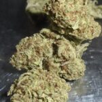 Bandit Breath Indoor Cannabis Redding 420 Marijuana delivery Indica Dominant Hybrid - 70% Indica / 30% Sativa THC: 27%.