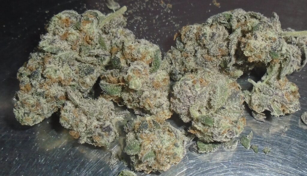 Glenn's Glitter Bomb Indoor Cannabis