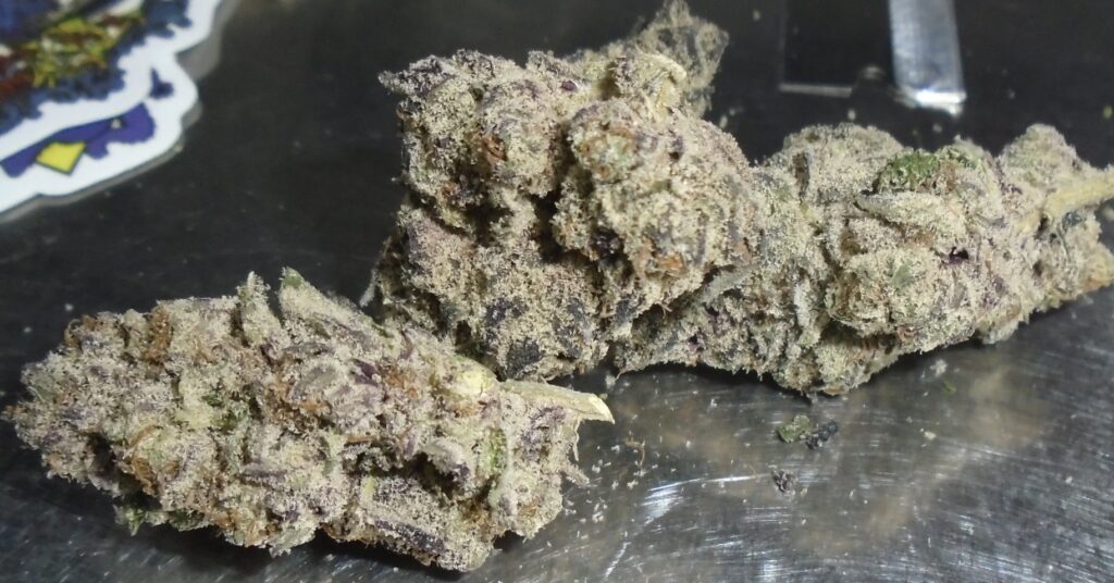 Strawberry Cherry Gelato Indoor Cannabis Redding 420 Marijuana