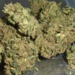 Grape Gas Light Dep Marijuana Redding 420 Cannabis Delivery
