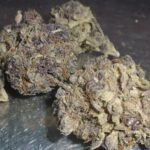 Dark Horse Indoor Cannabis Redding 420 Marijuana Delivery