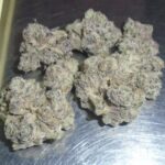 Bahama Mama Indoor Cannabis Redding 420 Marijuana Delivery