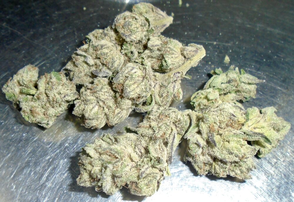 A5 Wagyu Indoor Cannabis Redding 420 Marijuana Delivery