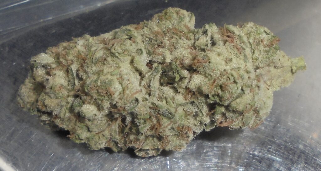 Nicks Baby Cake Indoor Cannabis Redding 420 Marijuana Delivery