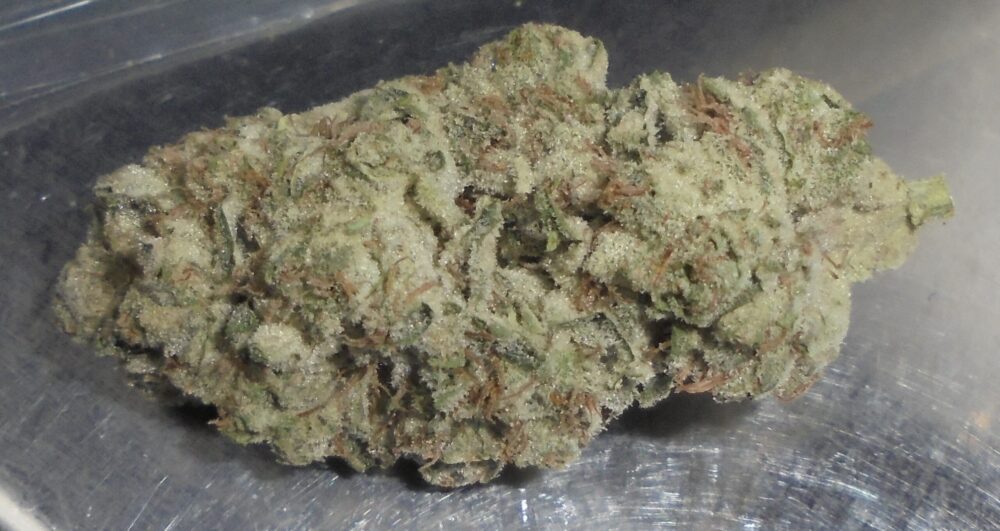 Nicks Baby Cake Indoor Cannabis Redding 420 Marijuana Delivery