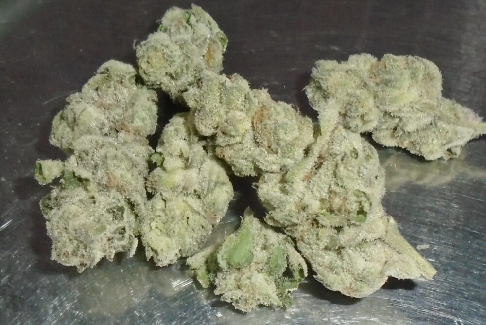 Nicks Big Perm Indoor Cannabis Redding 420 Marijuana Delivery