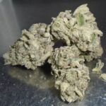 Nicks Plutos Revenge Indoor Cannabis Redding 420 Delivery