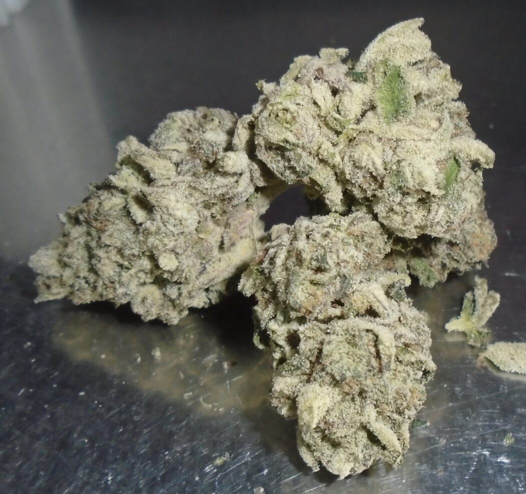 Nicks Plutos Revenge Indoor Cannabis Redding 420 Delivery