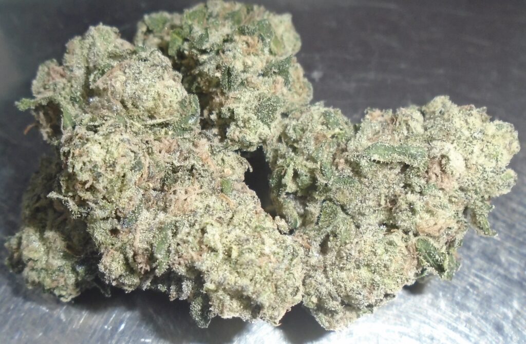 Pina Acai Indoor Cannabis Redding 420 Marijuana Delivery