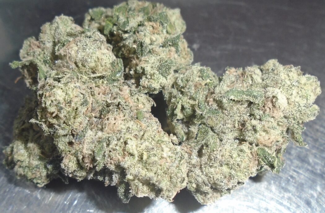 Pina Acai Indoor Cannabis Redding 420 Marijuana Delivery