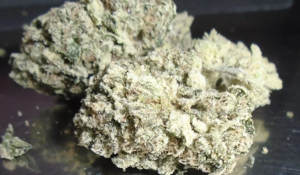 Glenn's Bell Ringer Indoor Cannabis