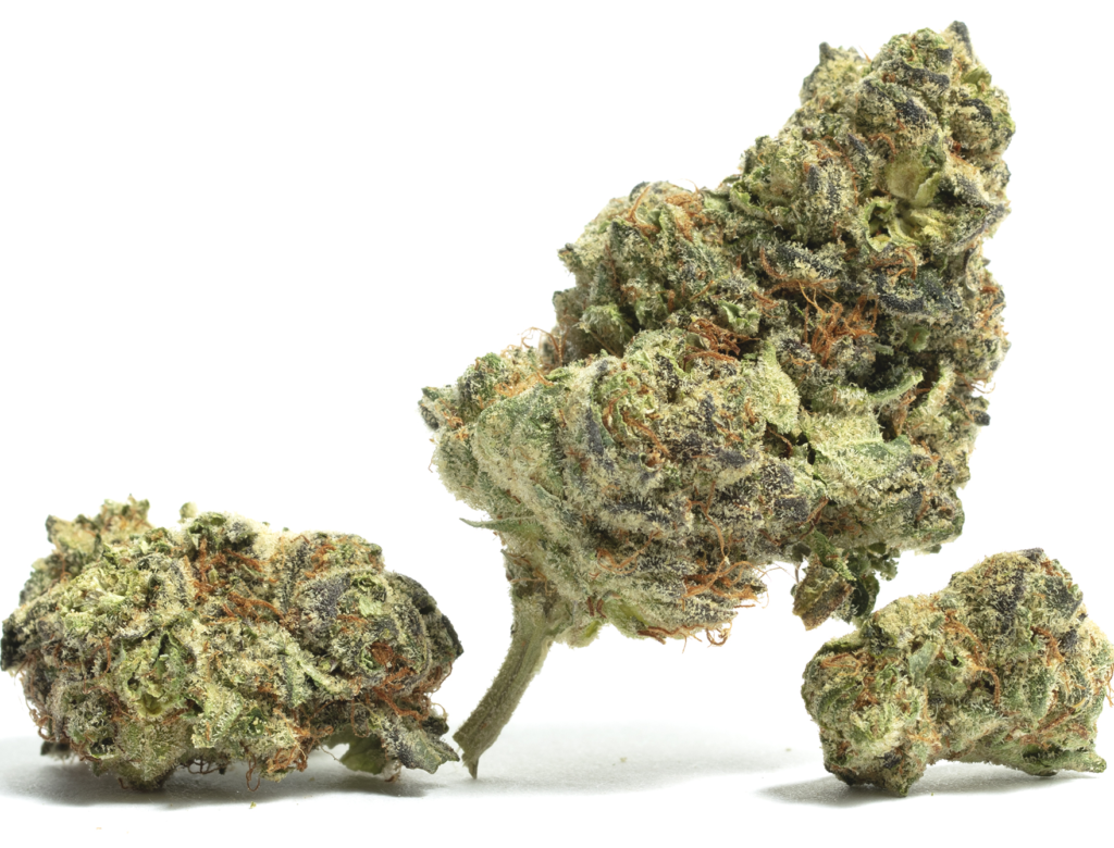 nick's Island Girl indoor cannabis