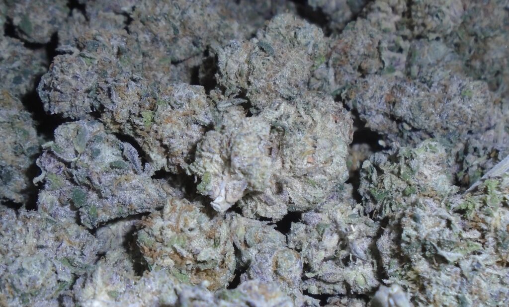 Nick's Mamacitas Cookies Indoor Cannabis
