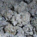 Nick's Mamacitas Cookies Indoor Cannabis