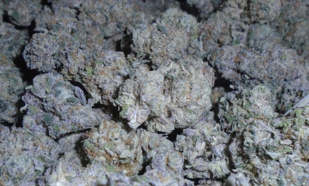 Nick's Mamacitas Cookies Indoor Cannabis