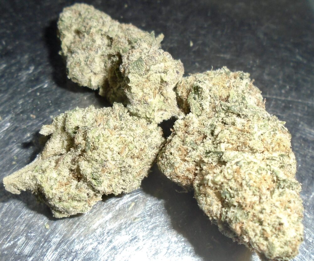 Nick's Jedi Juice Indoor cannabis Redding 420