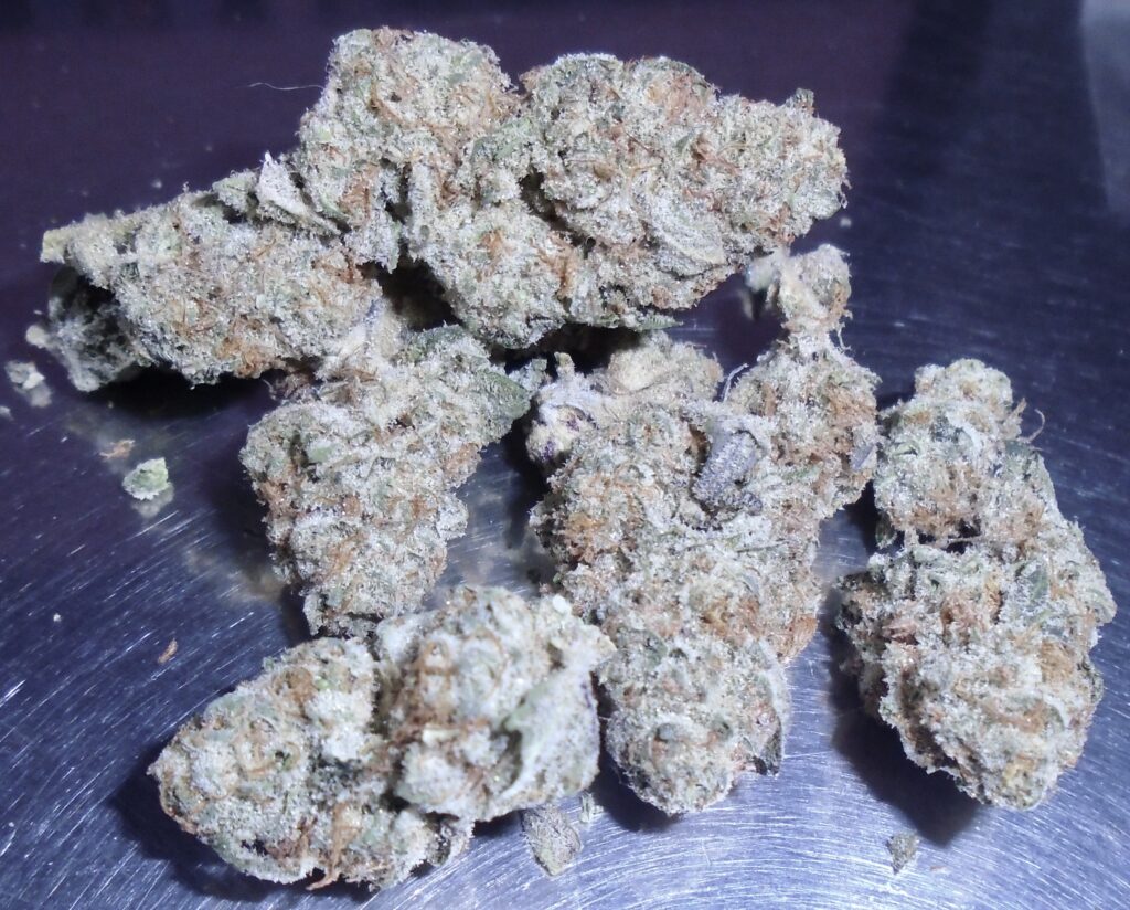 Nick's Garlic Chip Indoor Cannabis Redding 420 Marijuana Delivery Service