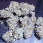 Nick's Garlic Chip Indoor Cannabis Redding 420 Marijuana Delivery Service