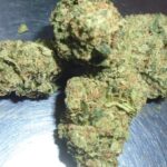 Nick's Malibu Sunset Indoor Cannabis Redding 420 Marijuana Delivery
