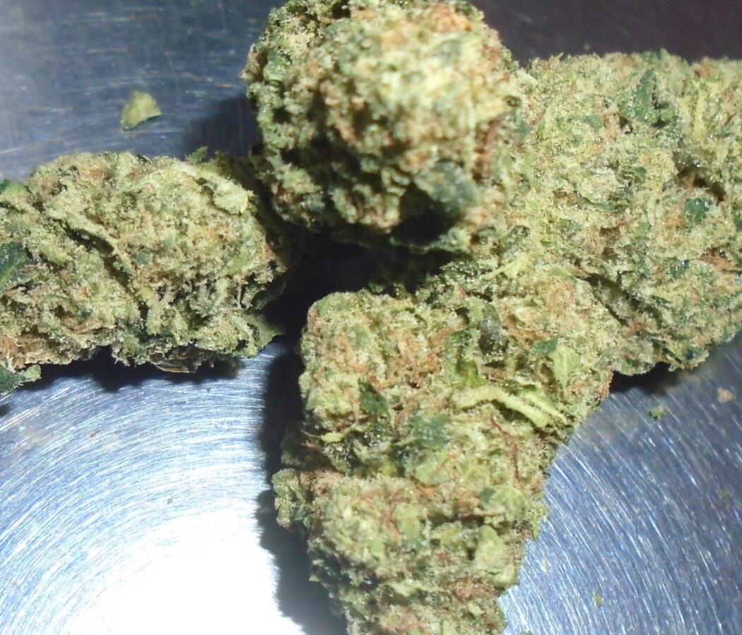 Nick's Malibu Sunset Indoor Cannabis Redding 420 Marijuana Delivery