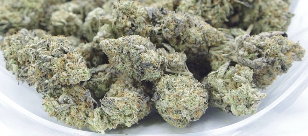 Nick's Khalifa Mints Indoor Cannabis