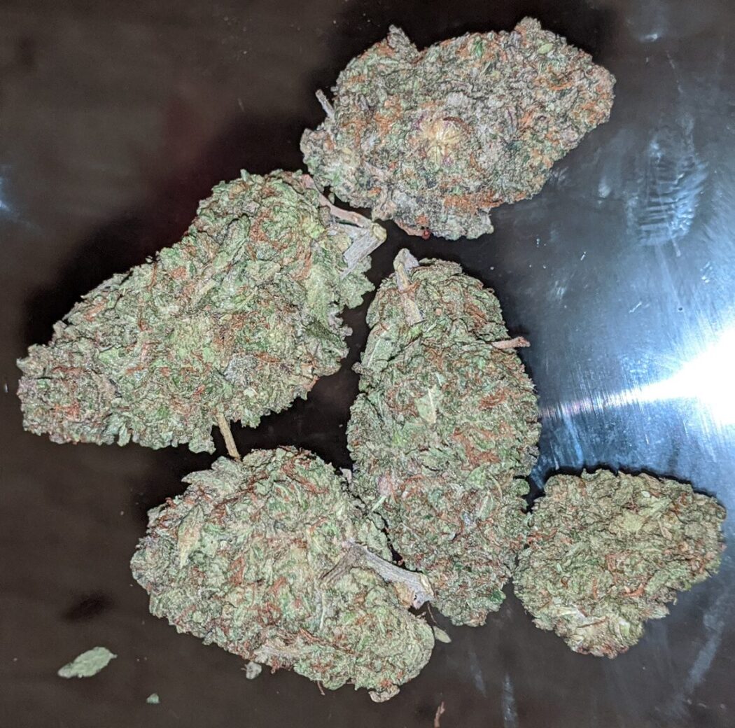 KS's Zookies Indoor Cannabis Medium