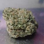 Cotton Bang Bunny Indoor Cannabis