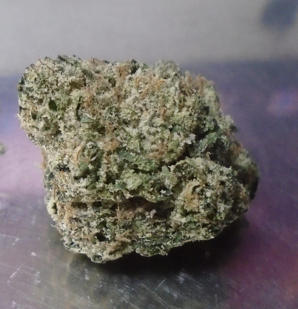 Cotton Bang Bunny Indoor Cannabis