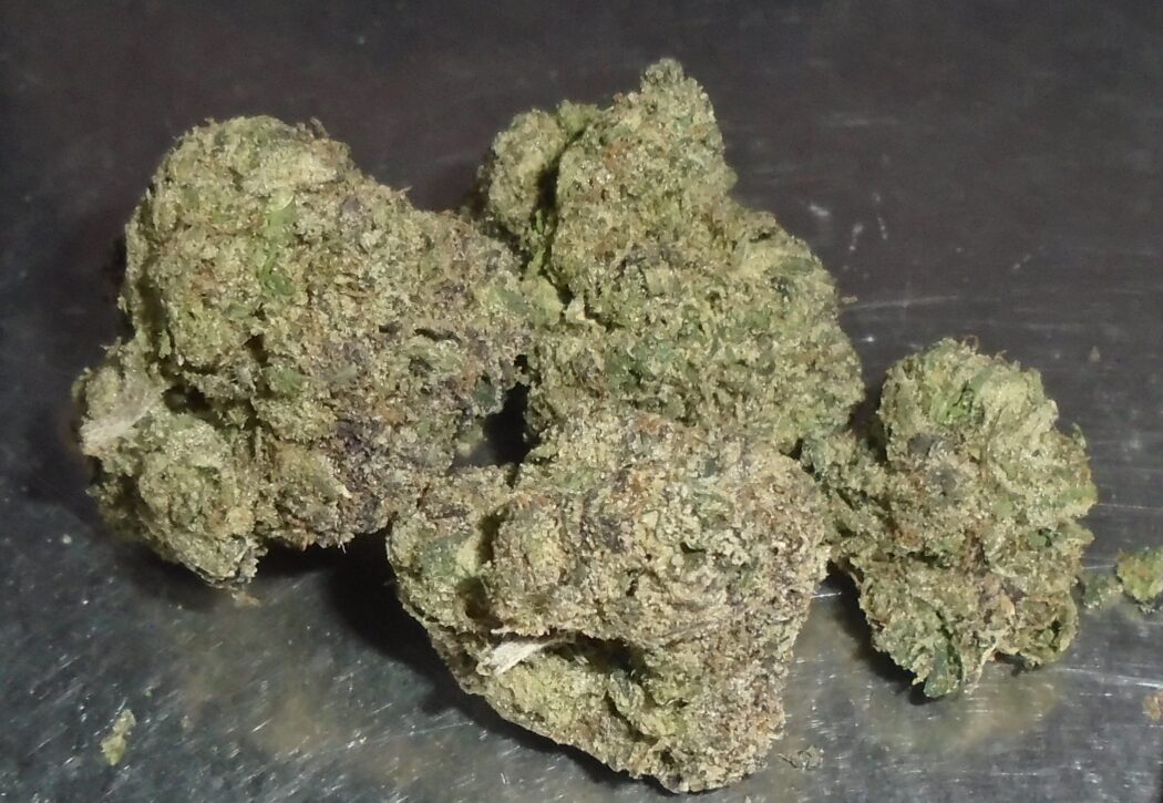 Z-41 Indoor Cannabis
