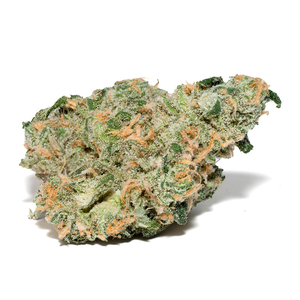 KC's Santa Cruz Blue Dream Indoor Cannabis