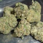 Supreme OG Indoor Cannabis