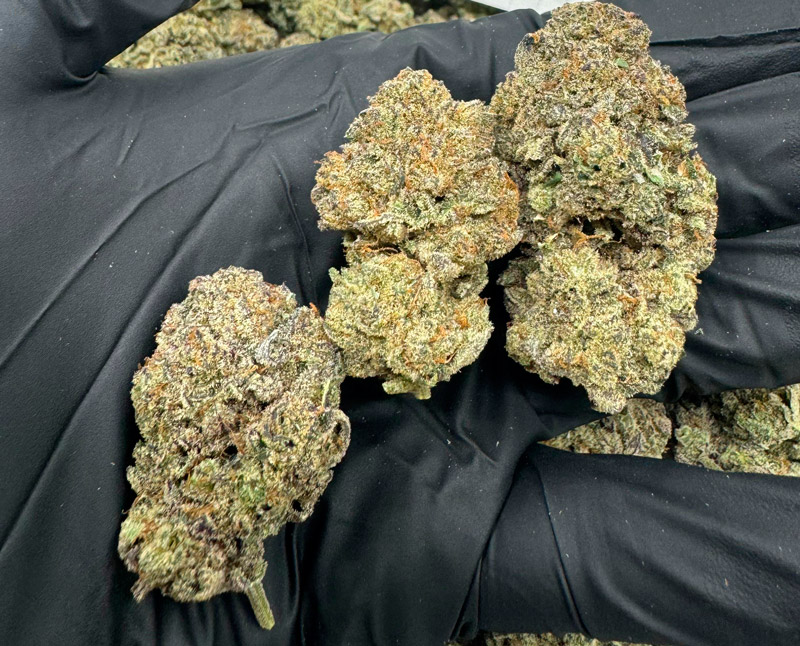 Cake N Bake Light Dep Cannabis Redding 420 Marijuana Delivery